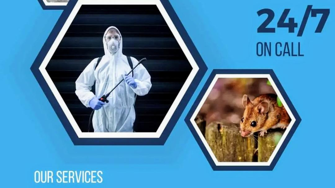 Cover photo of PDSE Pest Control services & woodworm treatments. meath